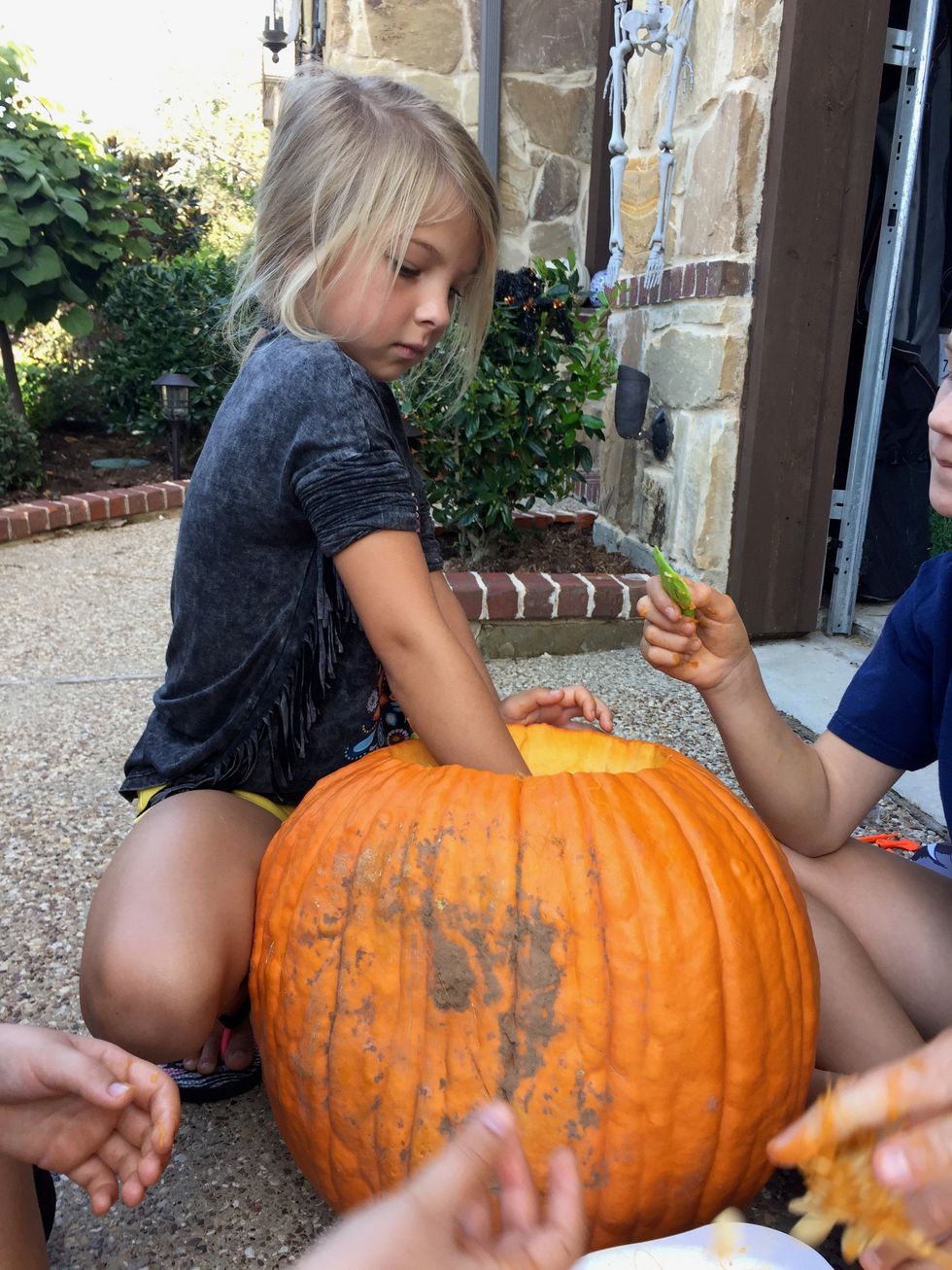 First, cut a large hole at the top of the pumpkin. Then remove all seeds and gut with a scooper, putting the seeds in a bowl.