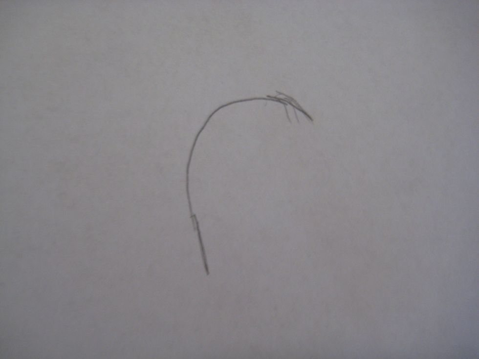 First, draw a candy cane shaped line.
