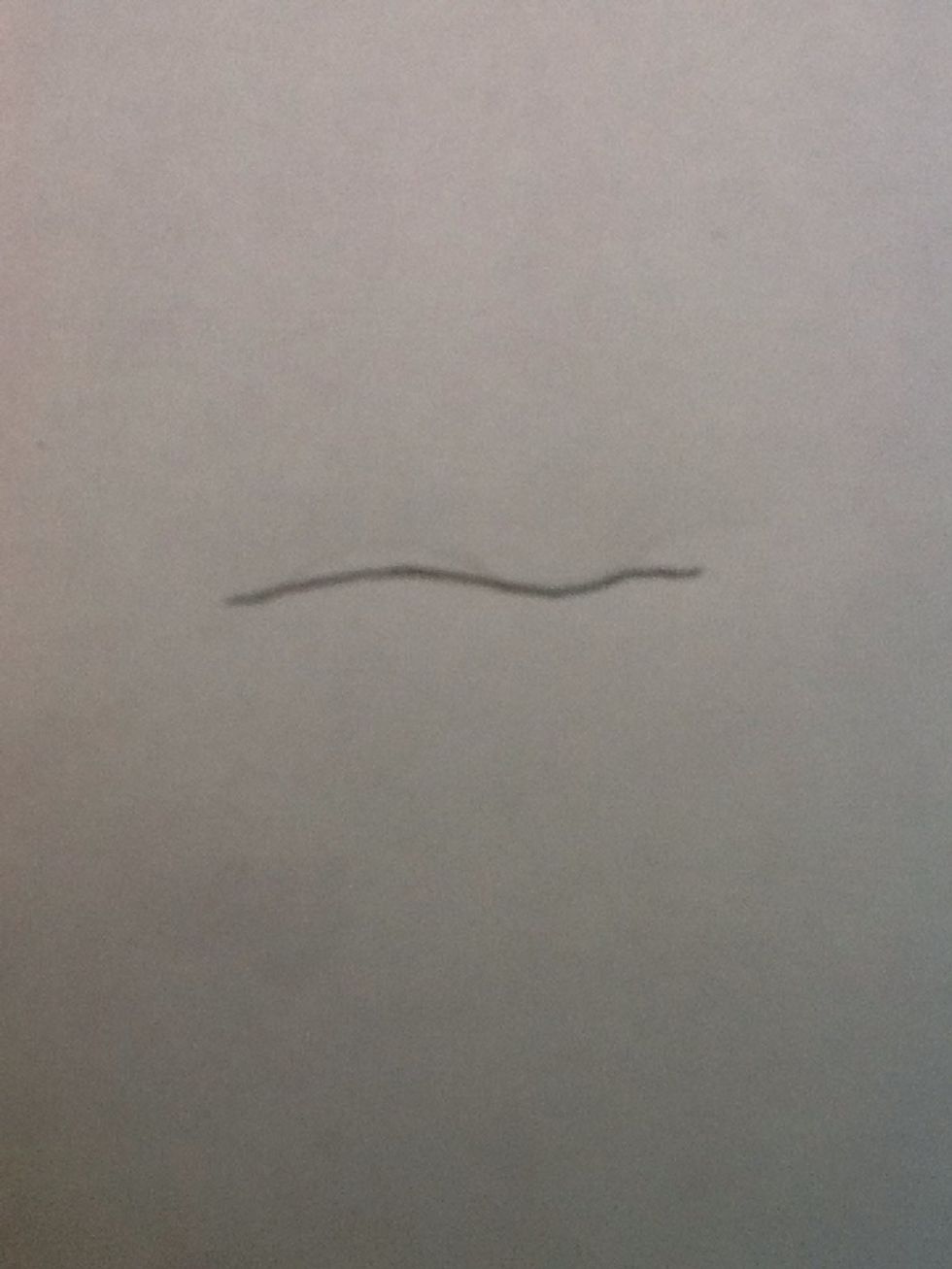 First draw a line that is wavy but not too wavy to start off.