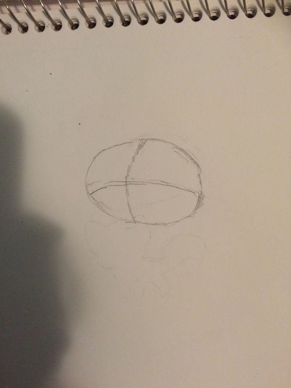 First draw the head. You want to make it kind of ovalish. ( sorry about the shadow and fox under it!)