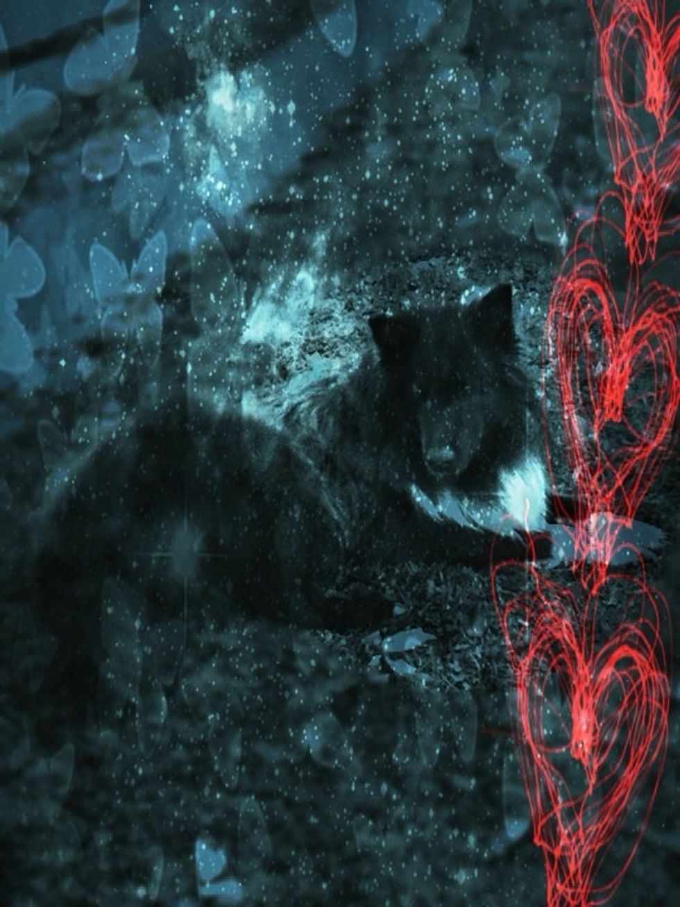 First example of what Pixlr Express PLUS can do :)