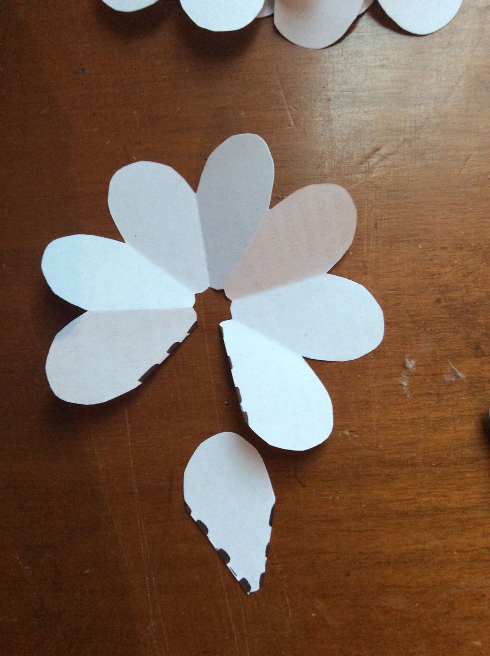First flower