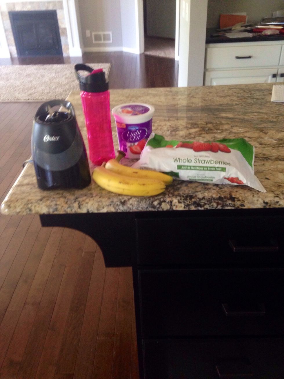 First, gather your materials. I like to use an Oster smoothie blender, but that is up to you.