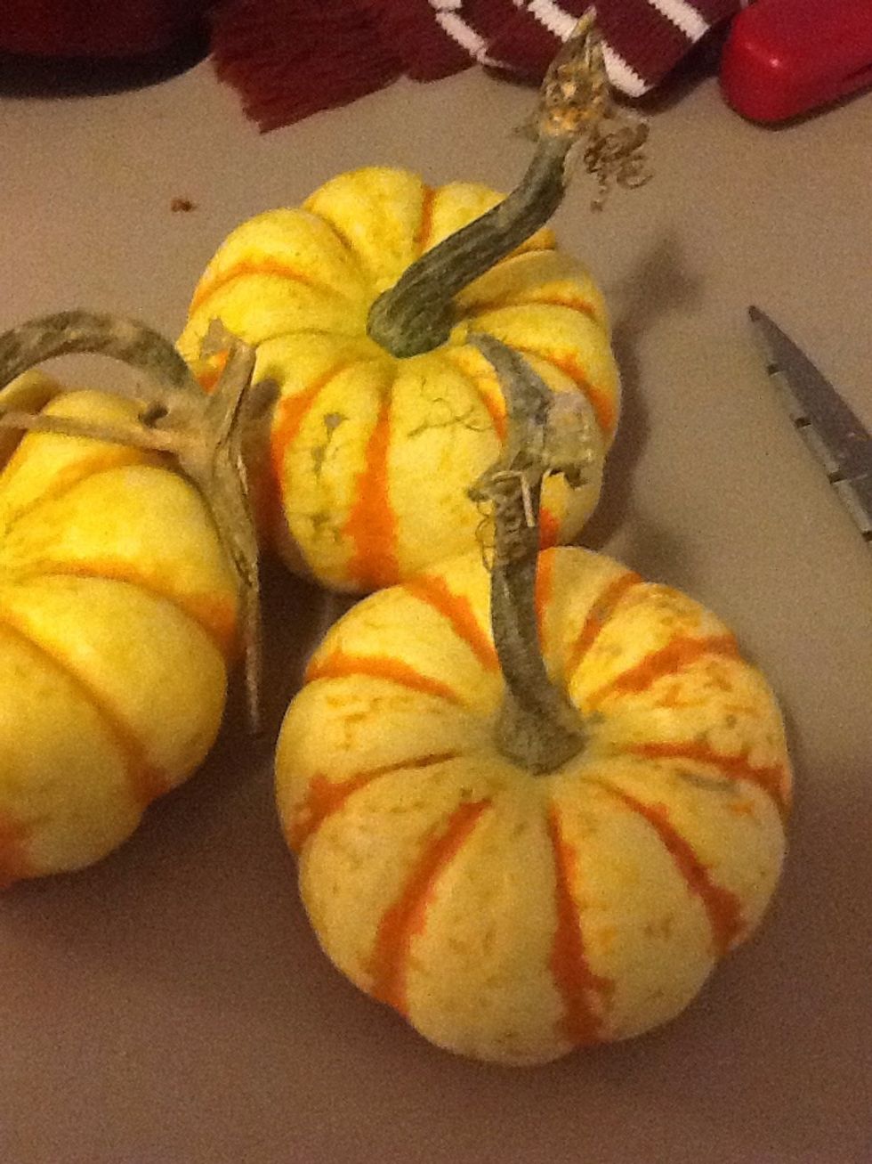 First gather your supplies