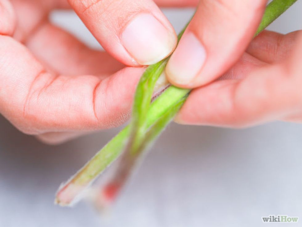 First get one daisy. split the end enough to get a daisy though it.