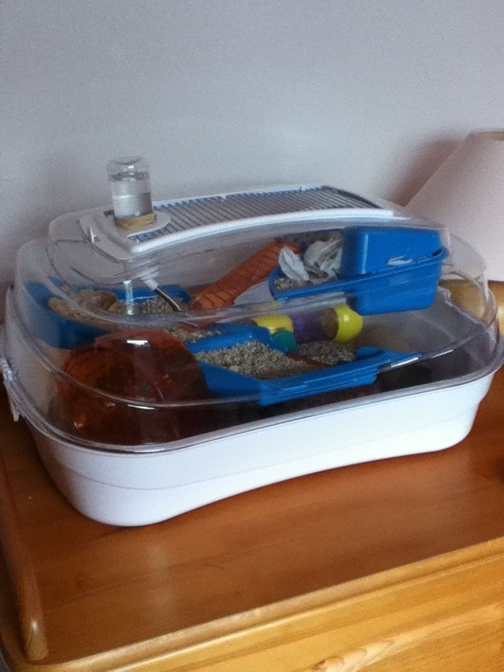 First of all, you need a good sized cage.