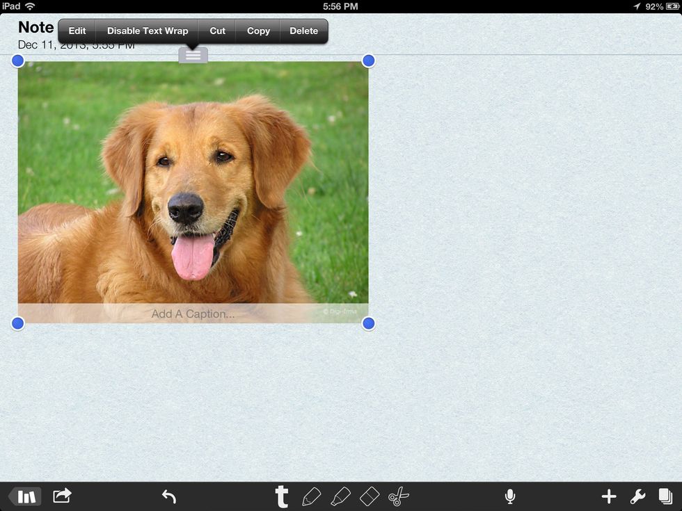 First pick lots of pictures, then add them to Notability