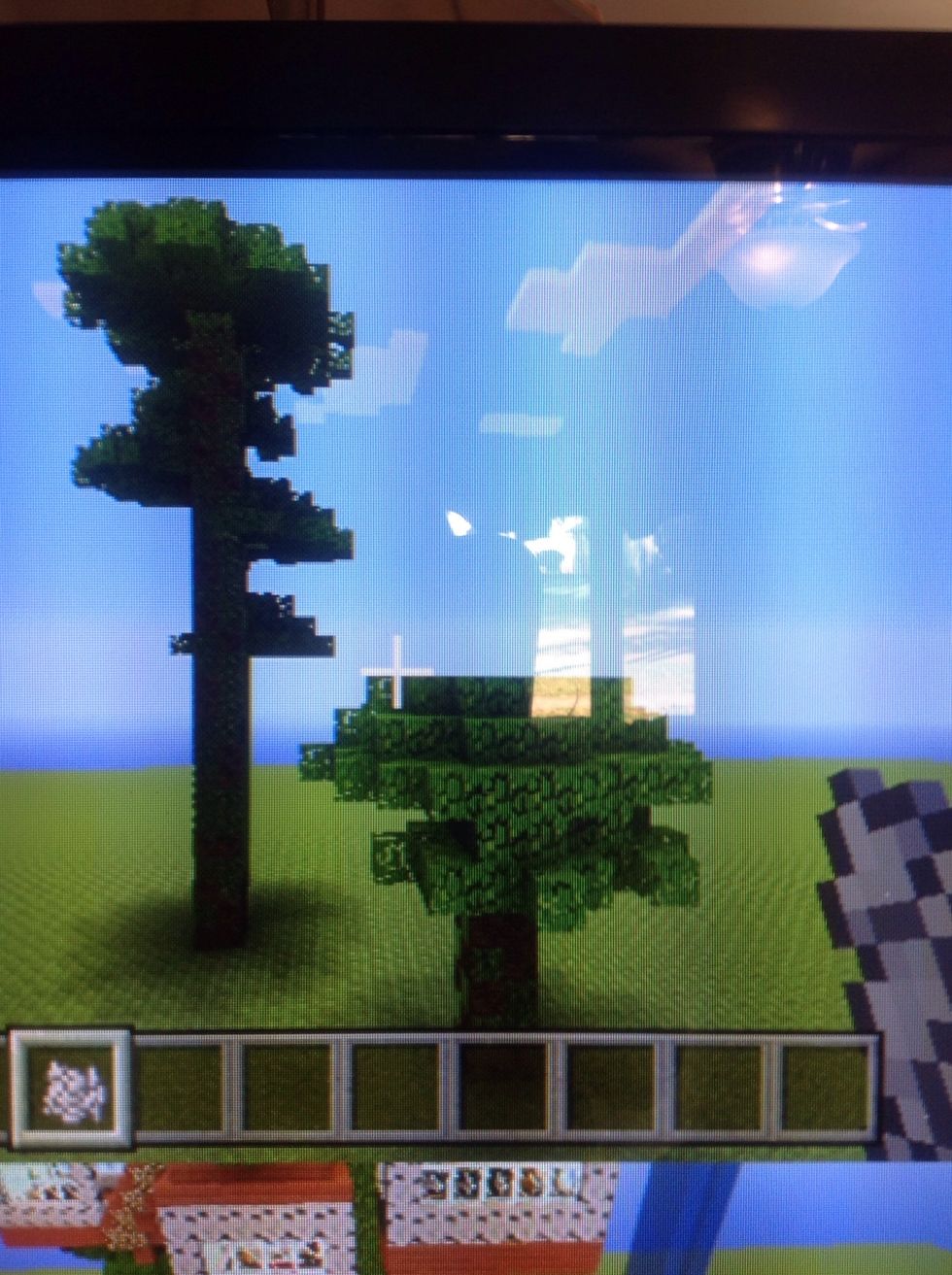 First, plant or find 2 jungle trees.