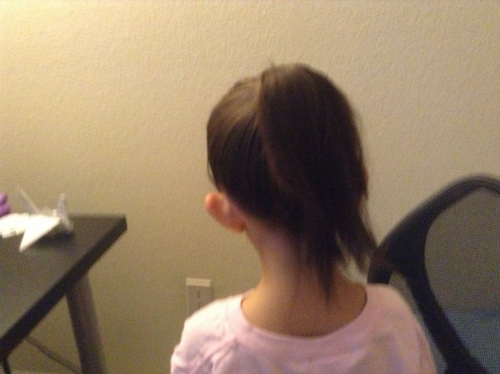 First ponytail your hair