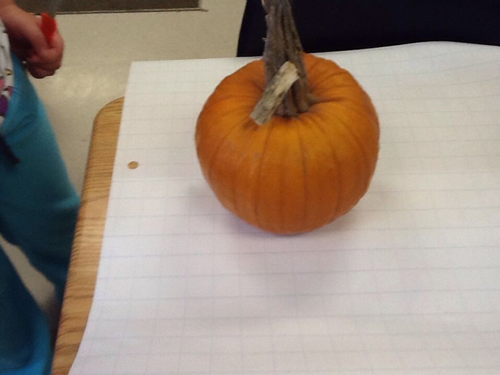 First put a pumpkin on the papper towl