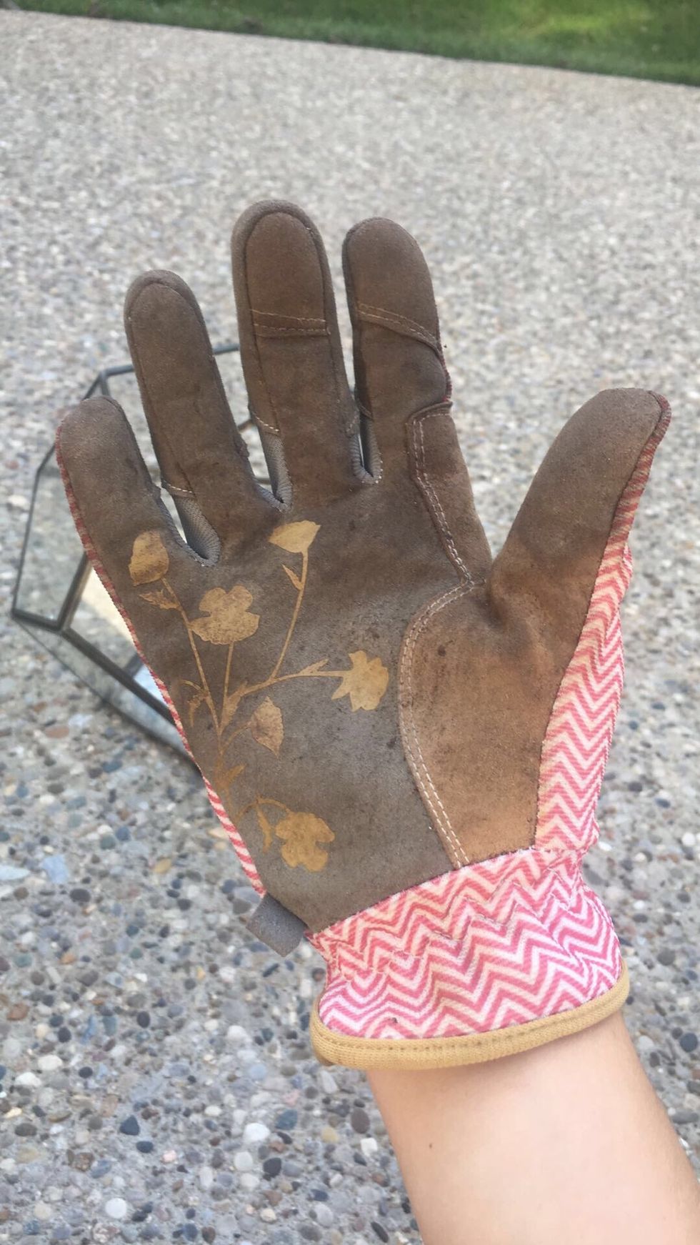 First, put on protective gardening gloves. These will protect your hands from any pricks you may get from your succulents. They will also keep your hands clean from the soil and rocks you will touch.