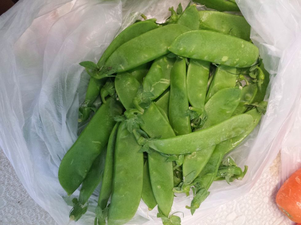First Snow Peas, they are rich in Vitamin C, A, K and multiple Vitamins B's. It's high in fibre and has minerals in it called iron and manganese.