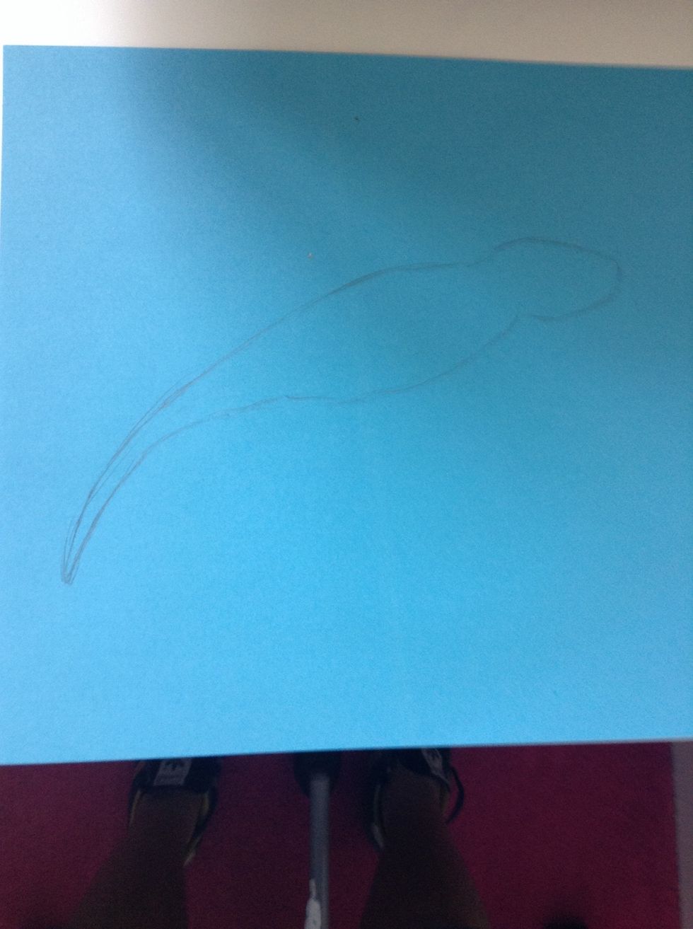 first start of by drawing a rough out line of the head the body and the tail