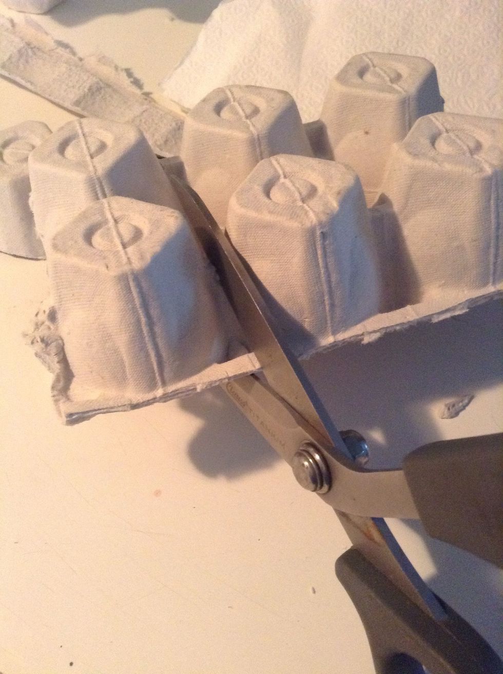 First take an empty egg carton and cut them up into individual pieces with your scissors