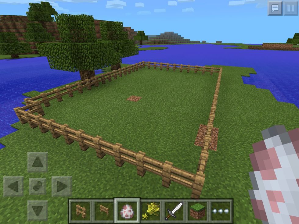 First thing you will need is a gate to put the sheep in.