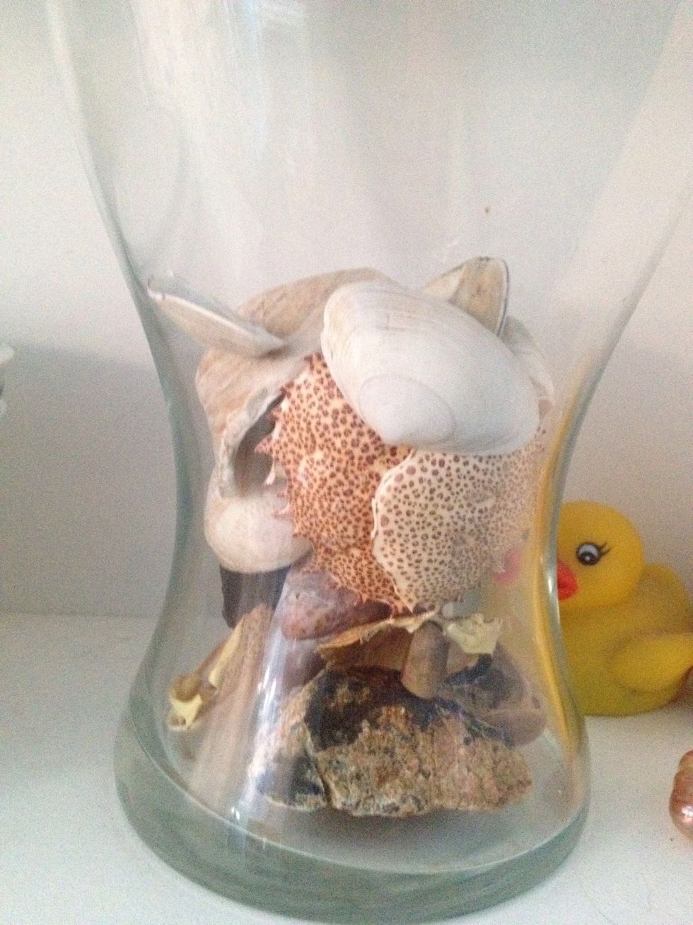 First you need a shell. Any shell is fine. Real or fake it doesn't matter. I keep real ones in a jar and I picked one from here.