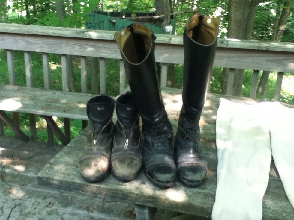 First you need boots.. Paddock boots ( short ones) if you're under the age of 8. Tall boots if over. Price range: 20-600 dollars...