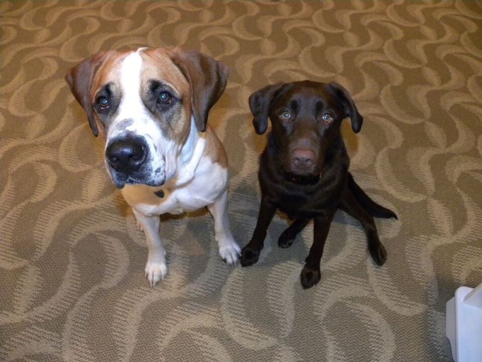 First, you need your reference pictures or model of what you'd like to draw. You can do this with almost anything.