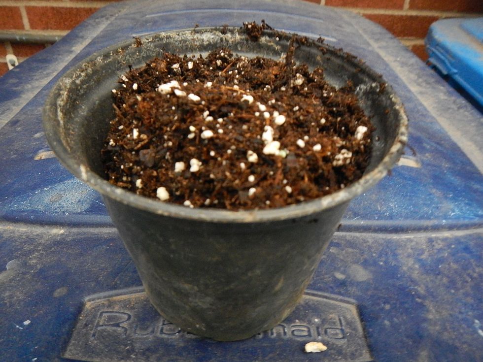 First you use dirt to fill the container.