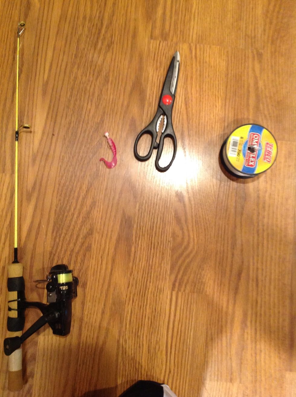 First, you will need a fishing pole. If your pole does not have line on it you will need fishing line. You will also need a fishing hook.