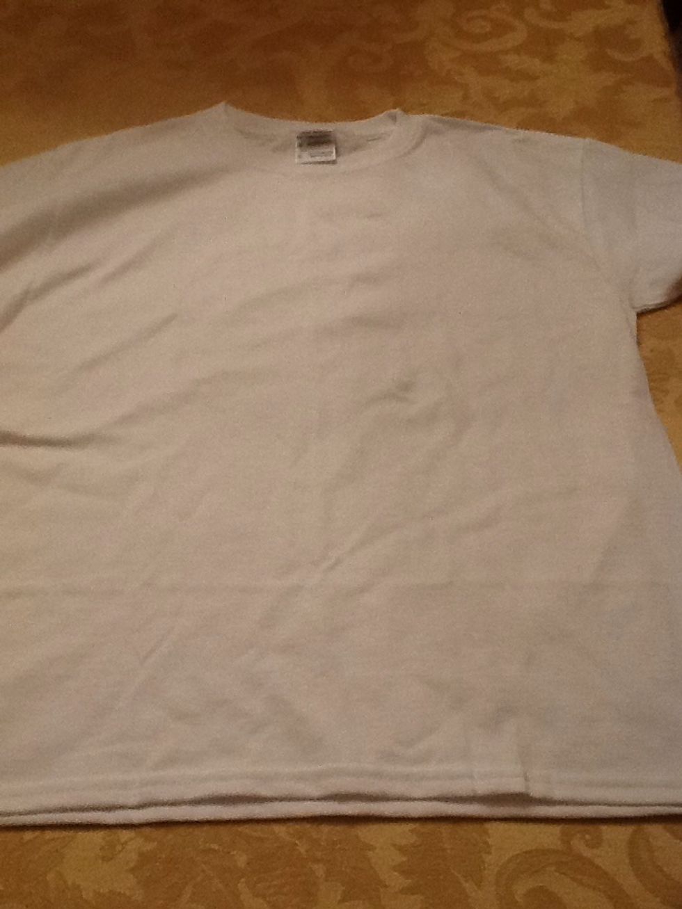 First you will need to get a plain T-shirt (any color, but it must be blank)\ud83d\udc55\ud83d\udc5a