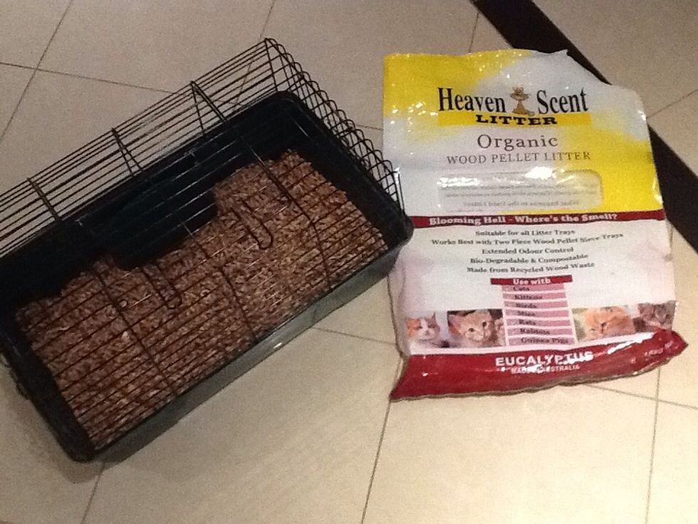 Firstly you will need to add the 1 and a half of the Heaven Scent in to the Guinea Pig's house