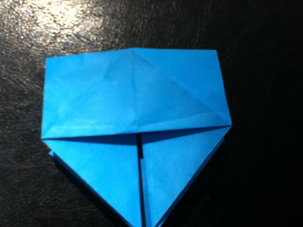 Flatten and crease. The repeat on the other side.