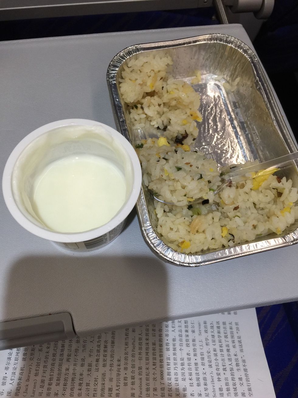 Flight meal, half cup of yogurt (it was Bulgarian yogurt instead of Greek yogurt. But it turned out to be a nice try.) and half pack of Chinese chicken fried rice(with few olive oil in it)