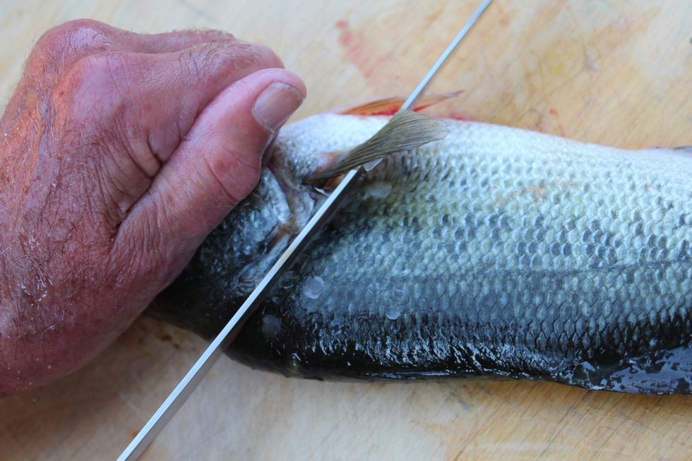 Flip fish over and repeat the previous steps.