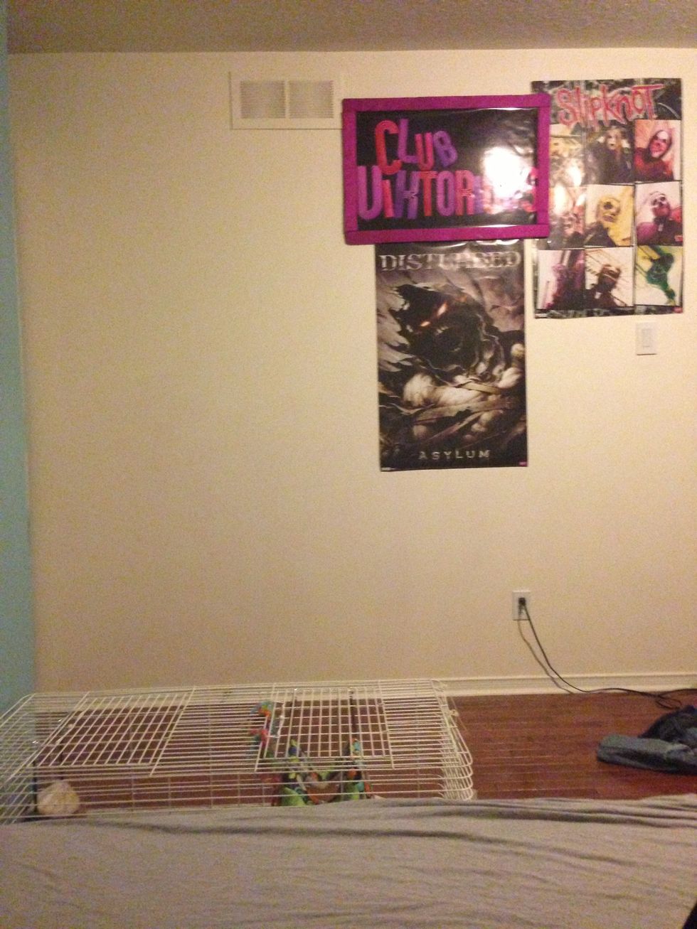 FLOOOOOORR!!!... And wall... And rat cage