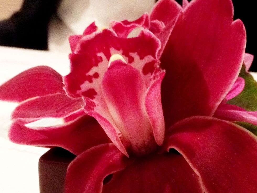 Flower! \ud83c\udf3a