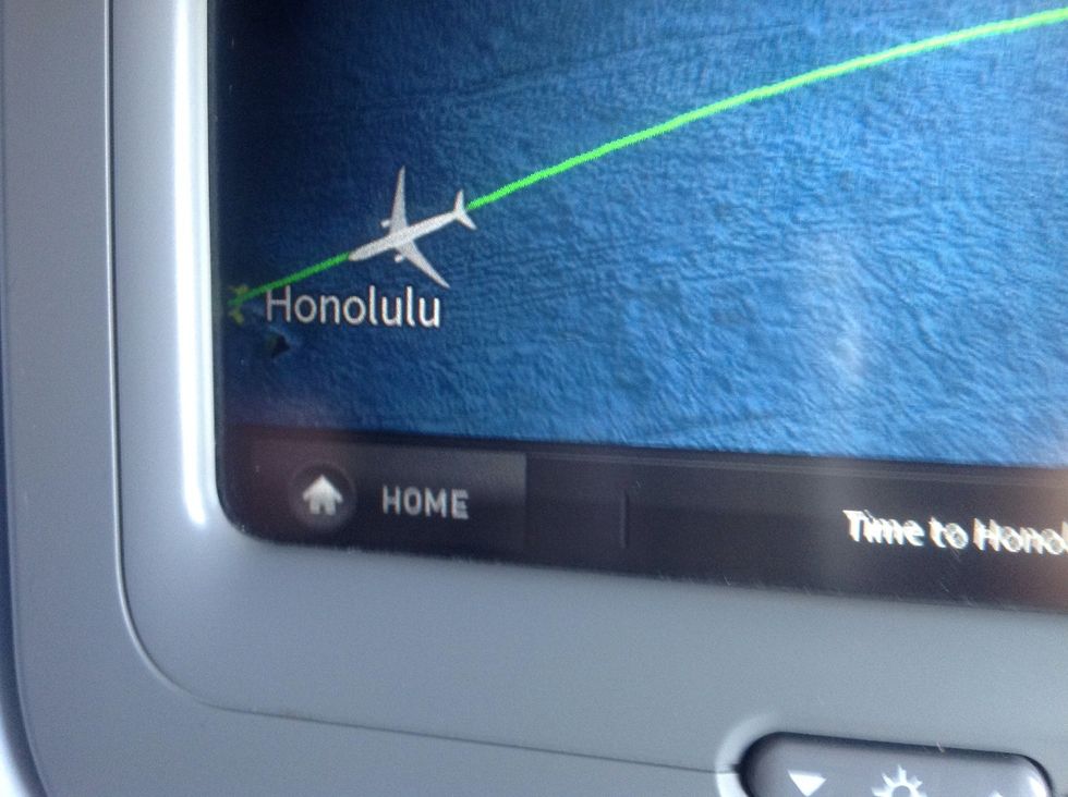 Fly down to Honolulu, Hawaiian Airlines Brill