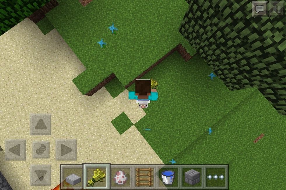 Fly up not too far up but just low enough so that the sheep is right below you.