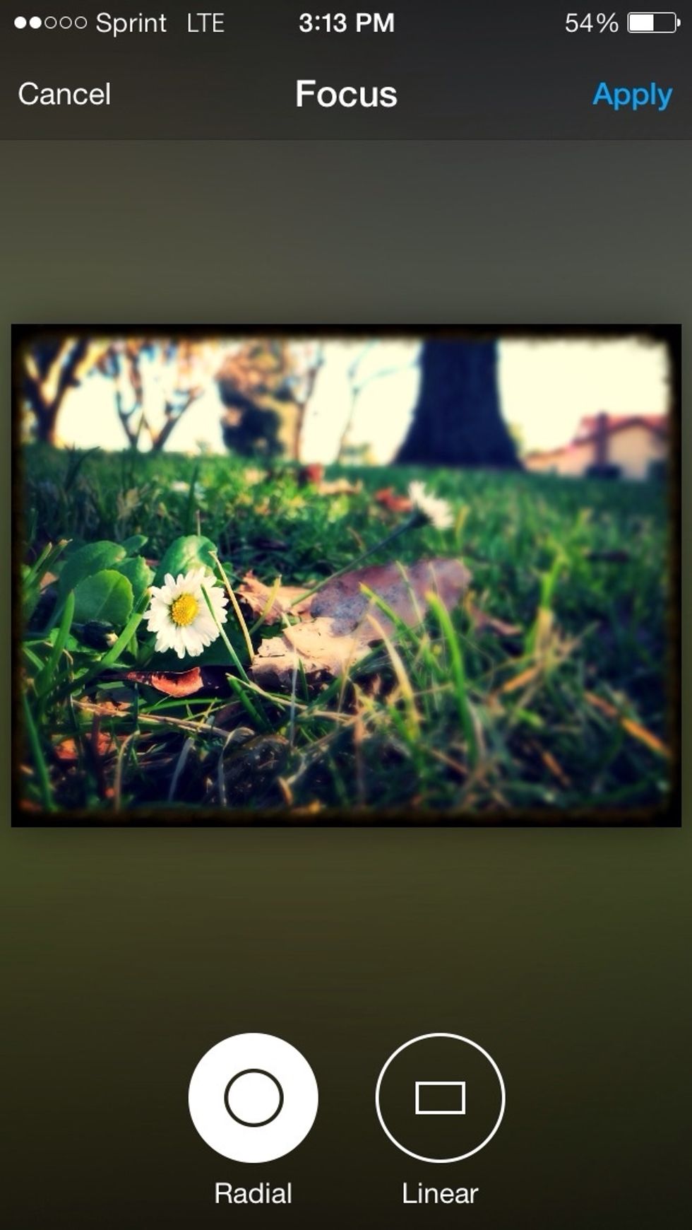 Focus allows you to focus on just one point or on a line.   I focused on the flower \ud83c\udf3c