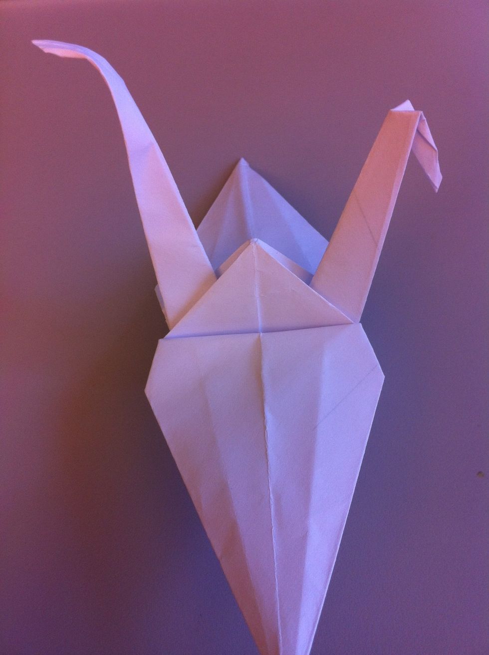 Fold a beak and tail.