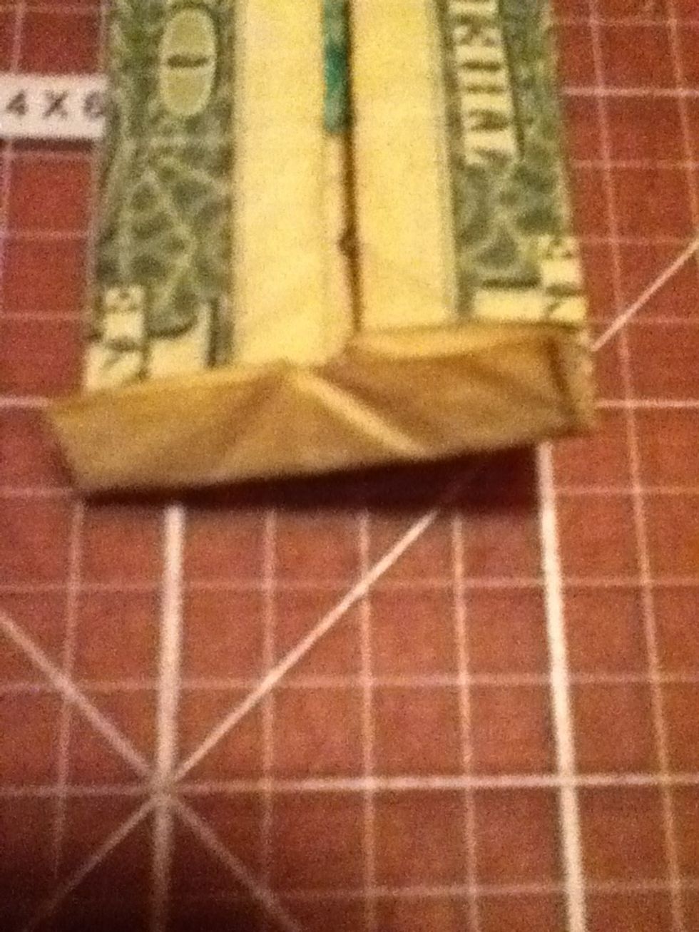 Fold a flap on the bottom up and flip the bill over