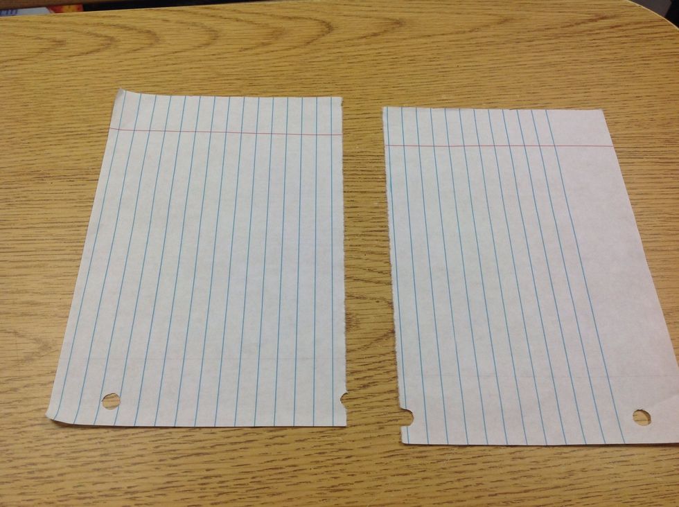 Fold and  cut the sheet of paper in half.