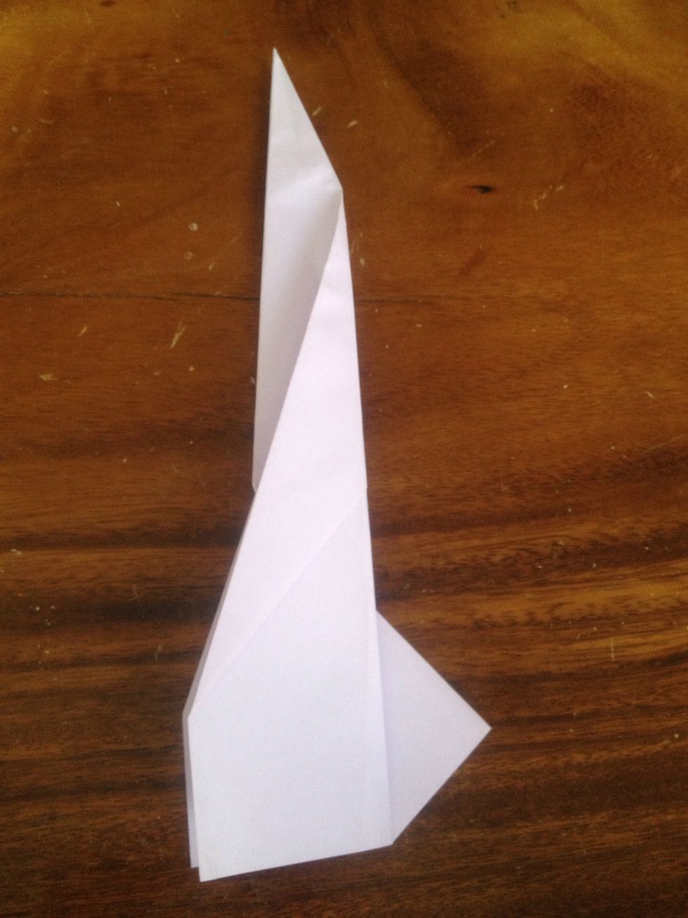Fold both halves downward to make the wings