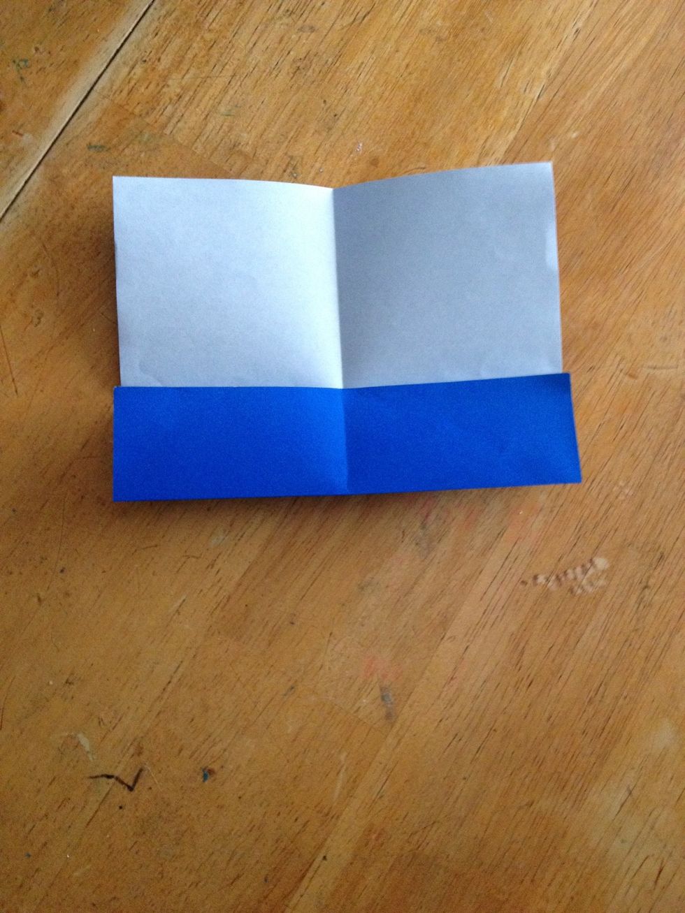 Fold bottom half to the middle line.