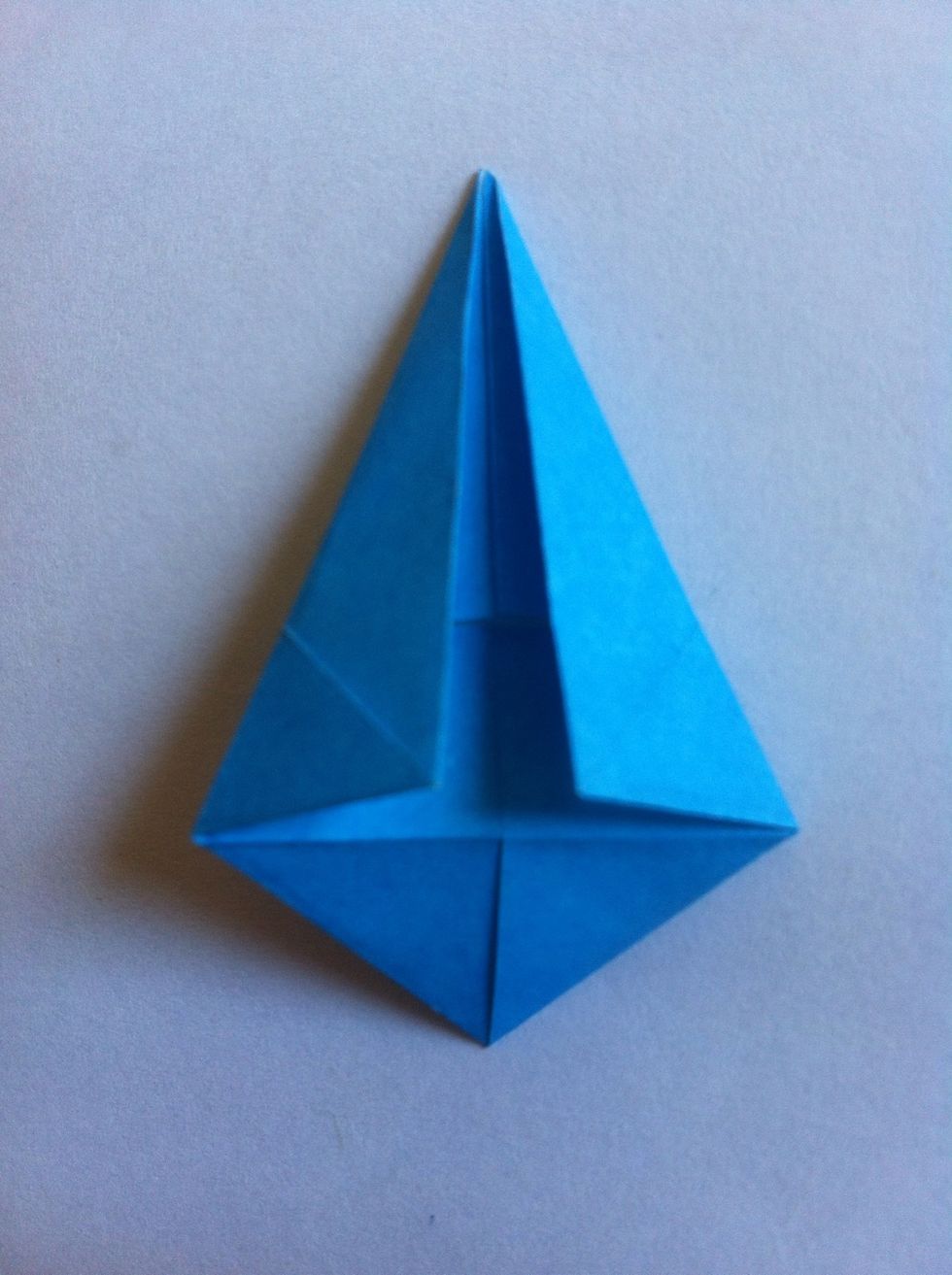 Fold bottom triangle onto the back & turn over.
