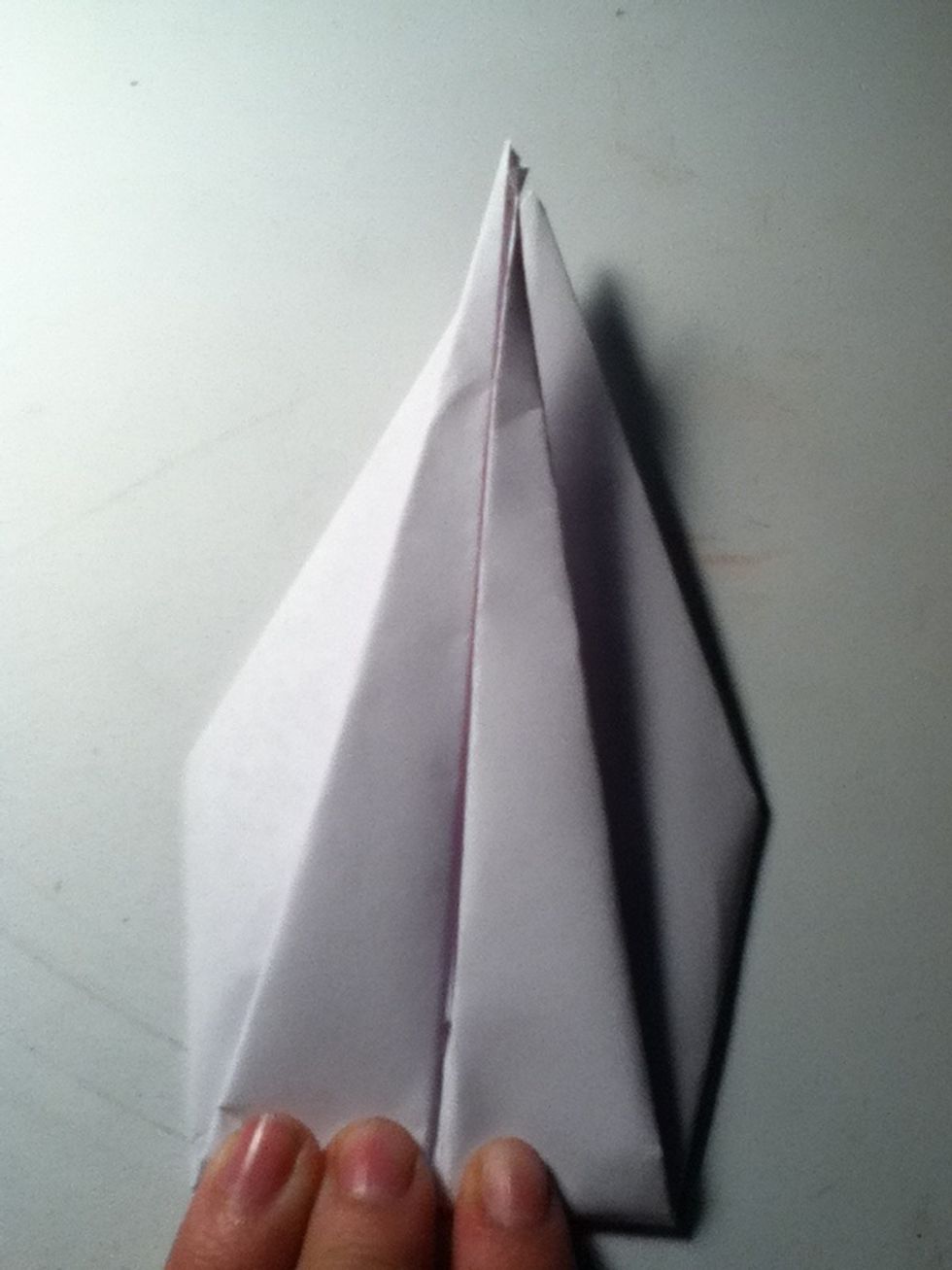 Fold bottom up to match the tip