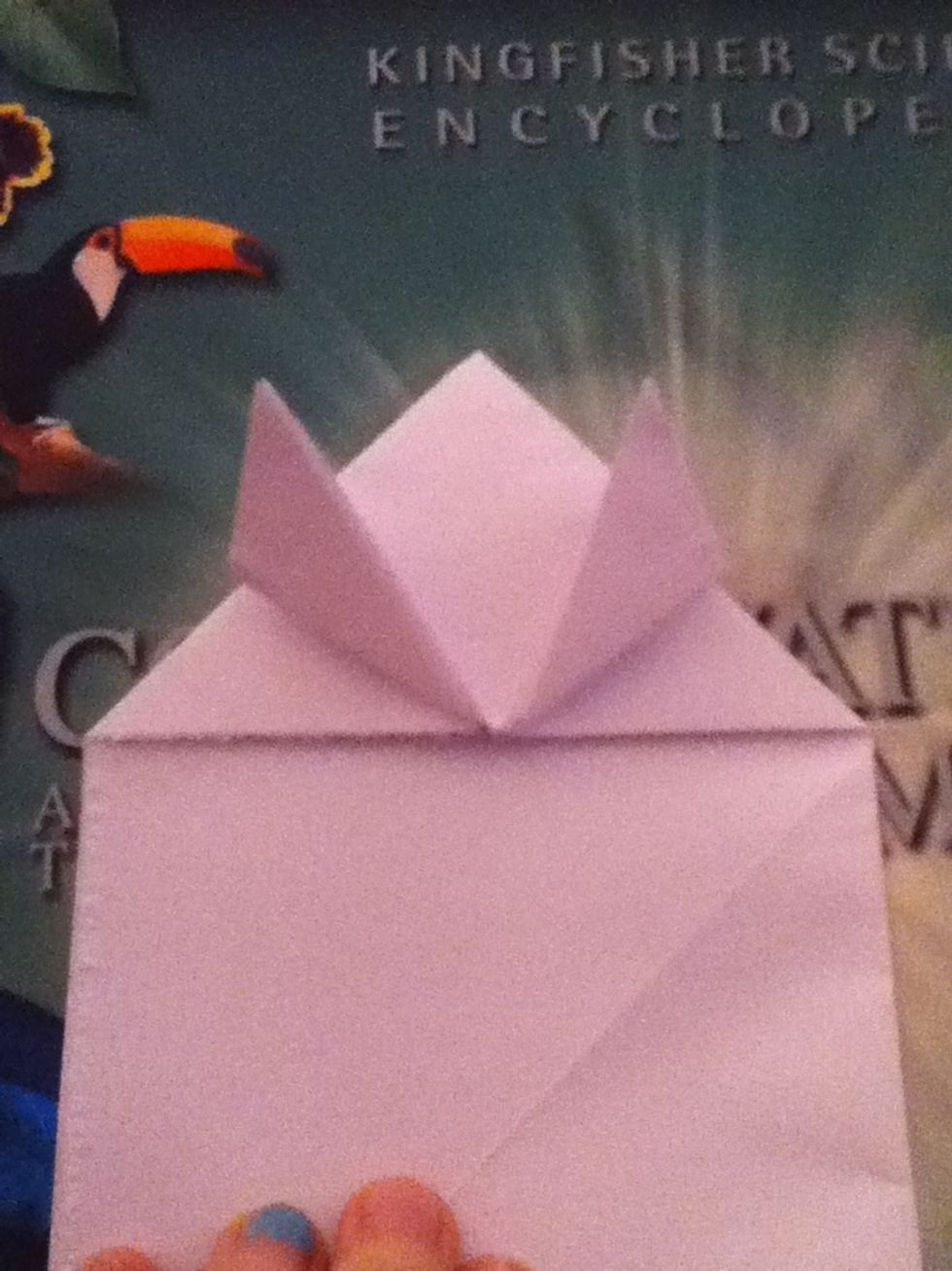 Fold corners upwards to make forelegs