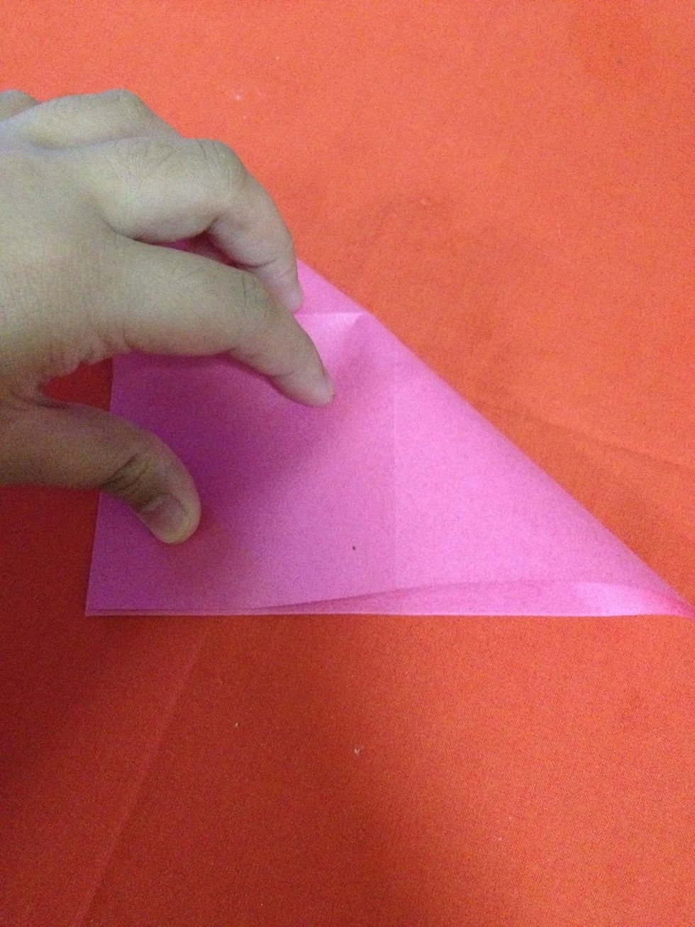 Fold diagonally.