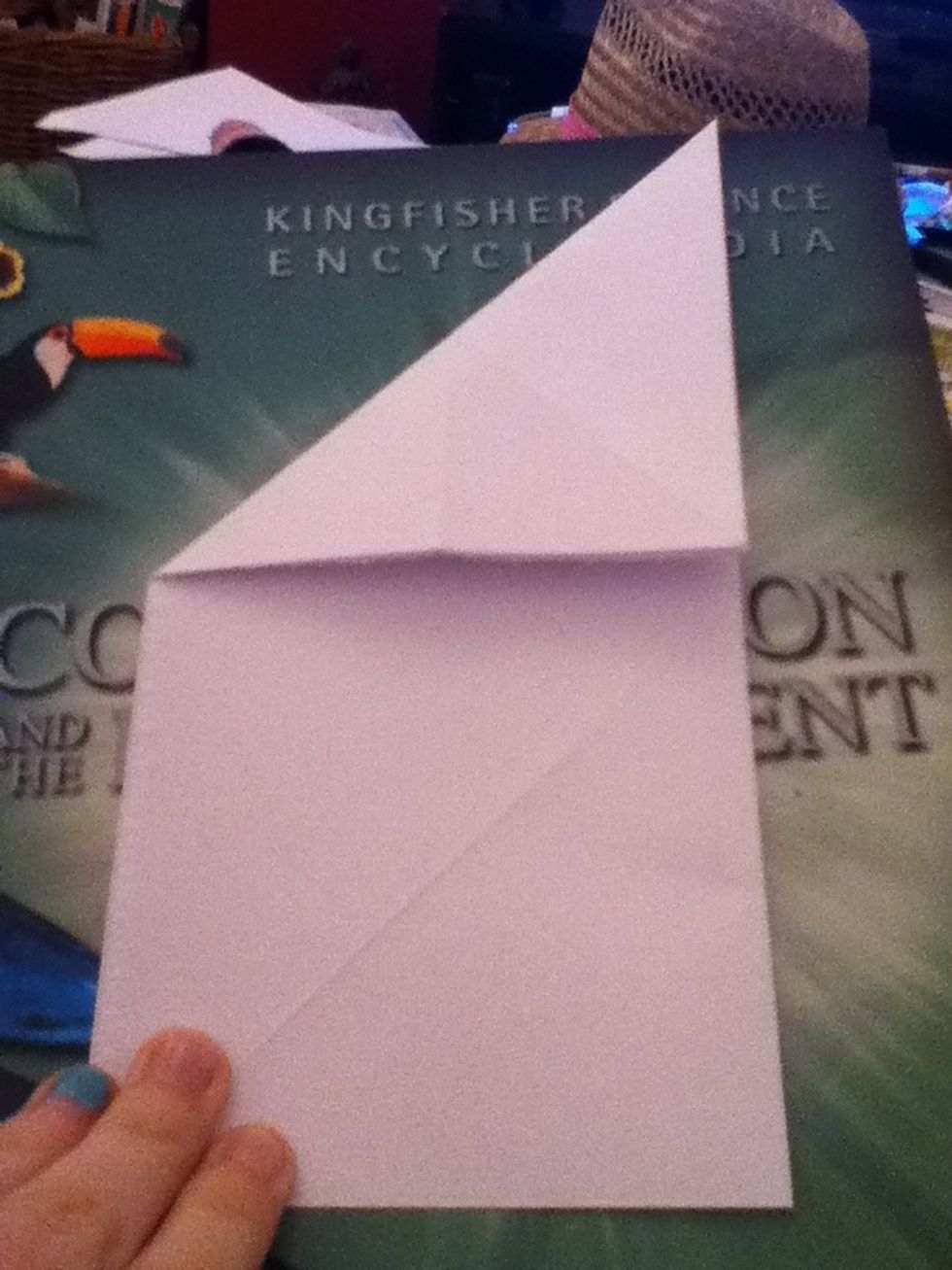 Fold down into a triangle then unfold