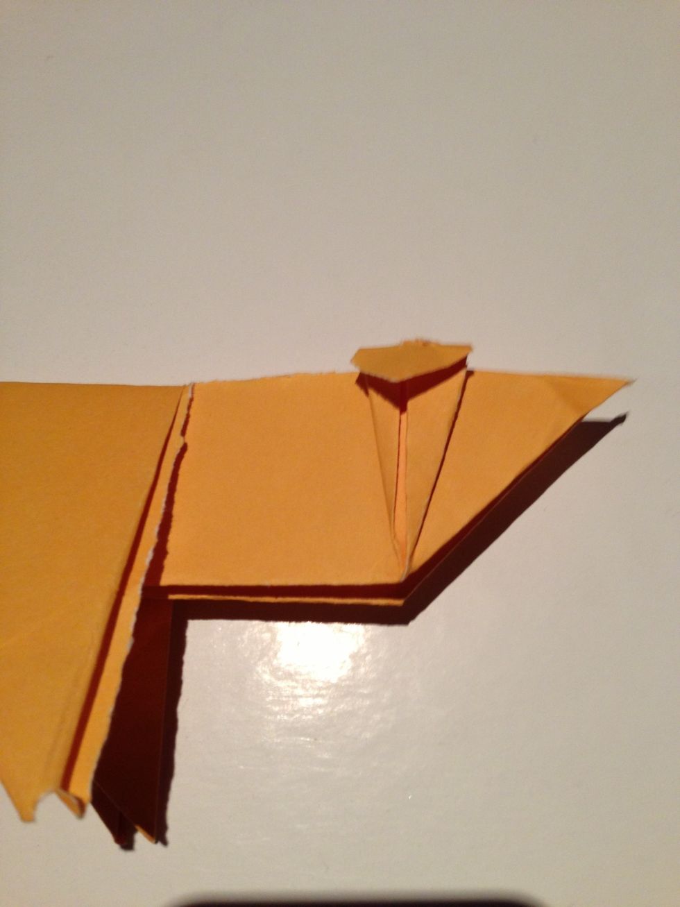 Fold down the top of the ear and repeat on the opposite side