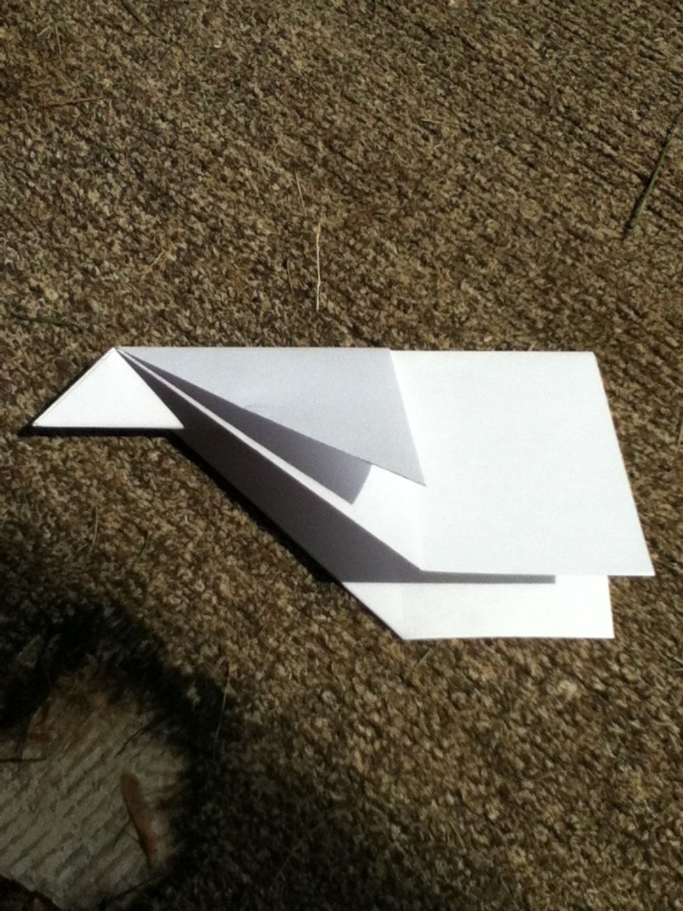 Fold down wings with size of your choice, I do ~1 inch from the bottom.