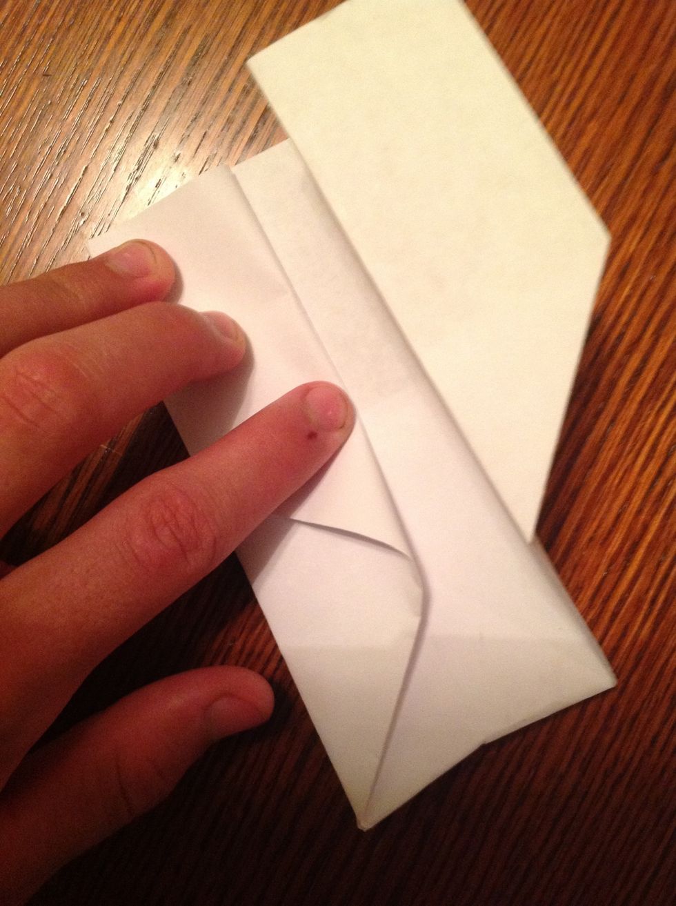 Fold each wing in half in the opposite direction as last fold.