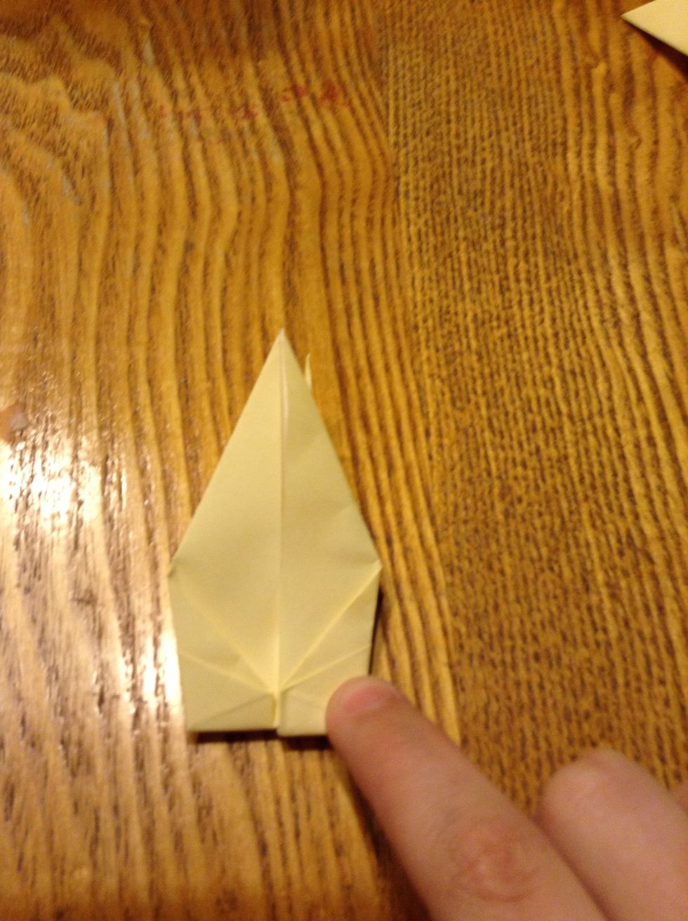 Fold flap the opposite way you did the first time