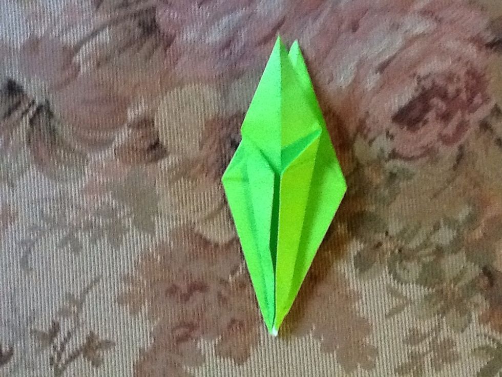 Fold in flaps to center line.