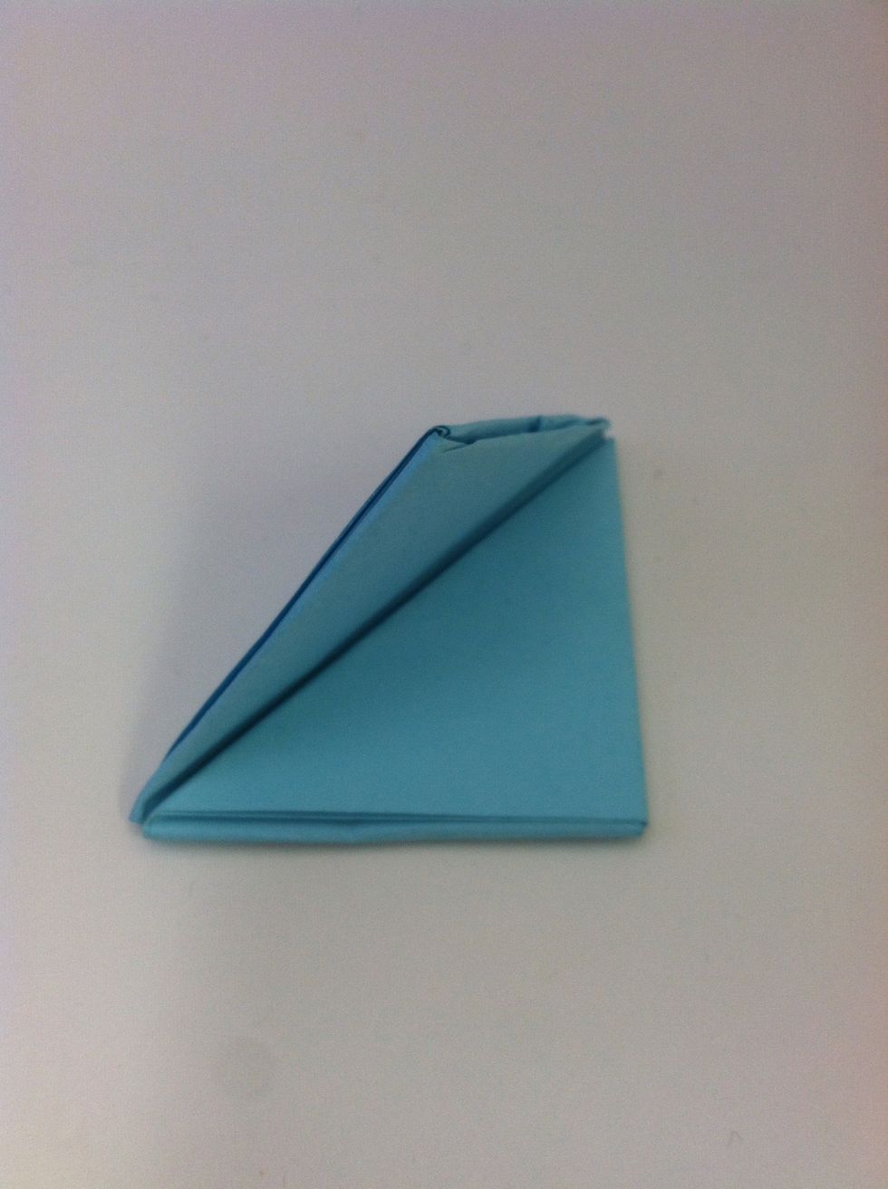 Fold in half along the diagonal line to make a firm crease.
